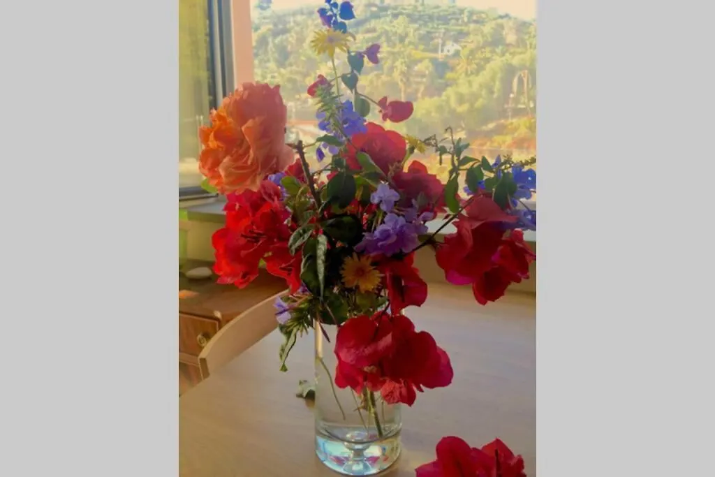 Casa della Bella Vita. Sea view appartement. Bordighera Appartamento