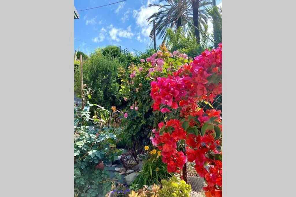 Casa della Bella Vita. Sea view appartement. Bordighera Appartamento
