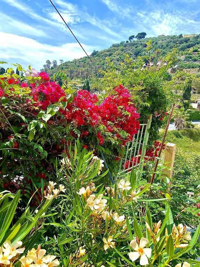 Casa della Bella Vita. Sea view appartement. Bordighera Italia